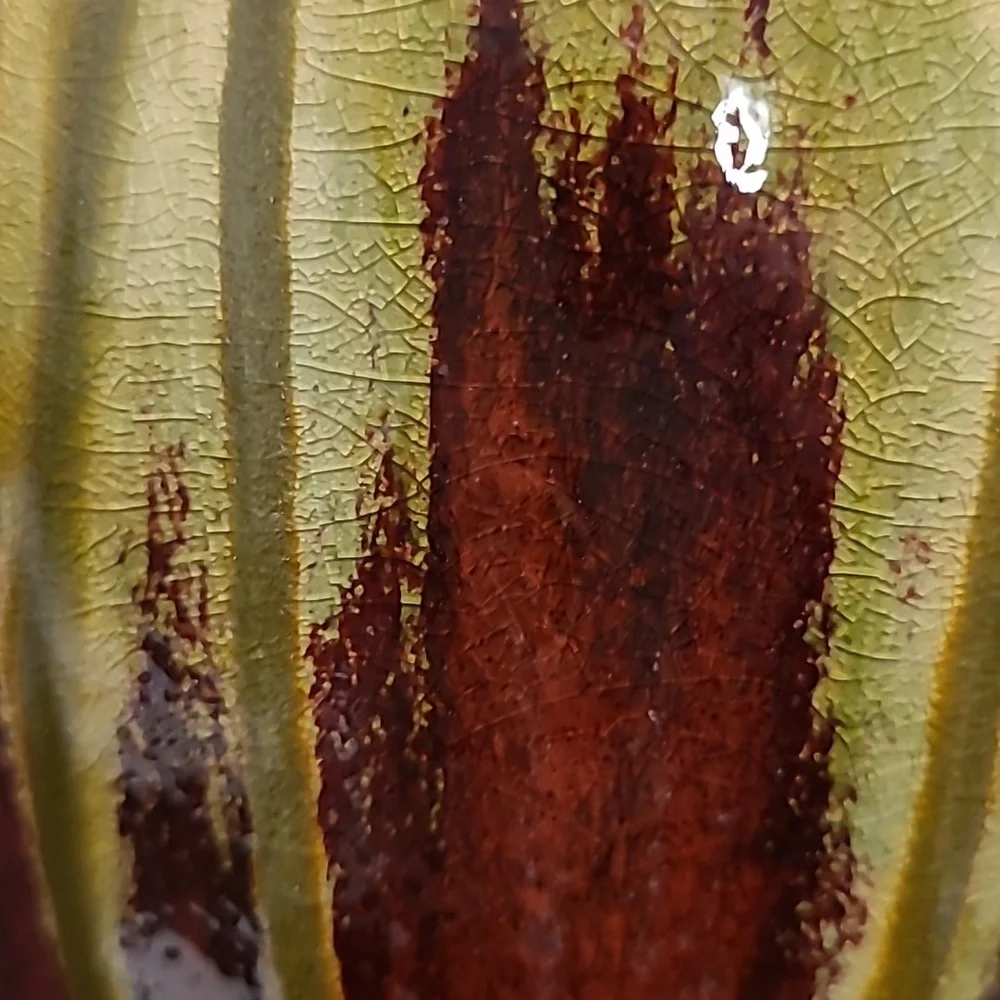 Beautiful Drip Glaze Vase